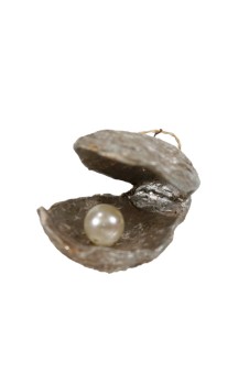 christmas ornament oyster with pearl