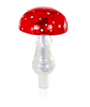 Cody Foster piek amanita muscaria paddenstoel