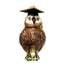 kerstbal uil de onderwijzer